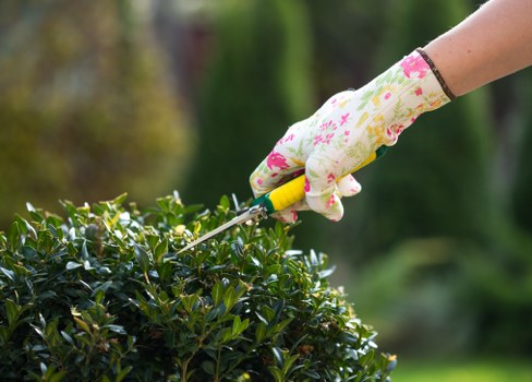 Gardener preparing tools at garden gate in Brent Cross