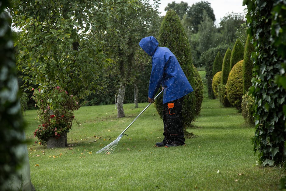 A person using hedge shears with yellow and green handles to trim a dense, vibrant green hedge in a garden setting. The hedge comprises small, oval-shaped leaves, and the surrounding area features eve
